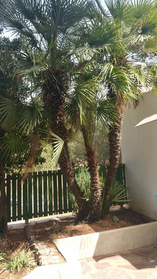 Villa Chabola 德尼亚 外观 照片